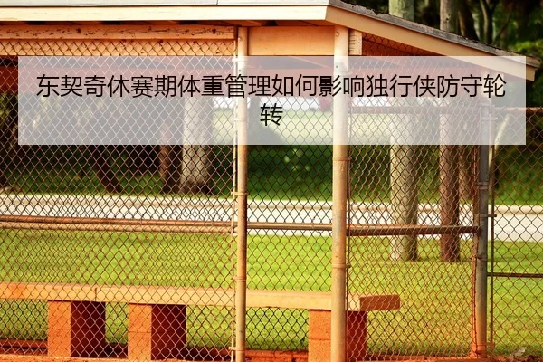 东契奇休赛期体重管理如何影响独行侠防守轮转